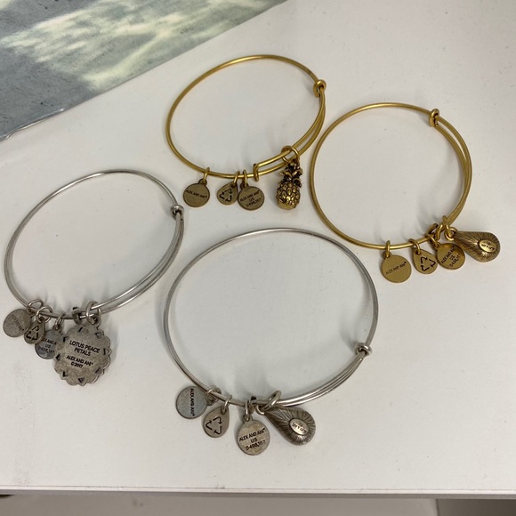 Alex and Ani 4 charm bracelet bundle - Picture 10 of 16